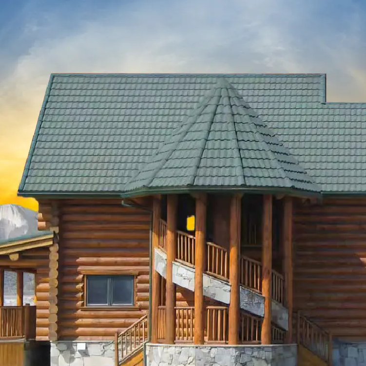roof (1)